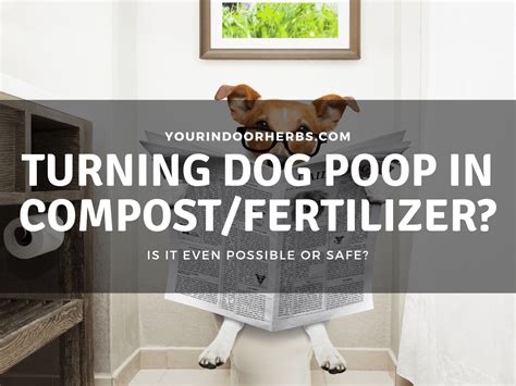 can you use dog poop as fertilizer